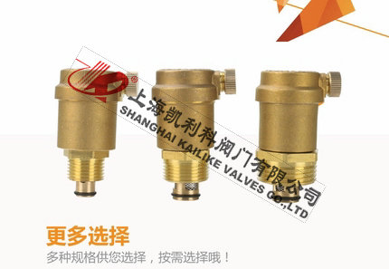 AVAX暖氣自動排氣閥選擇