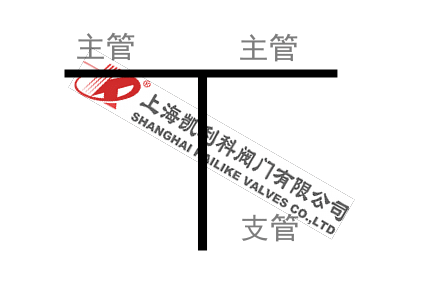 鑄鋼T型過(guò)濾器管路支管圖