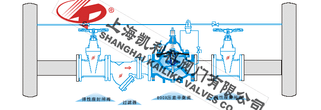 800X壓差旁通閥安裝示意圖